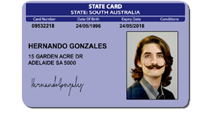 Fake Identification Cards